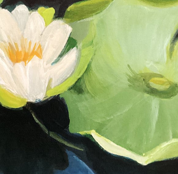 Water Lily